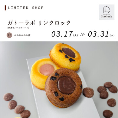 ガトーラボ リンクロック