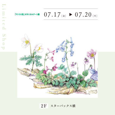 「アトリエ彩」ボタニカルアート展