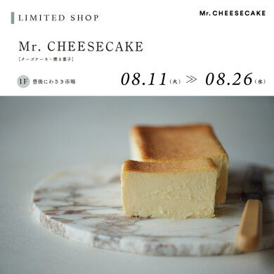 Mr. CHEESECAKE