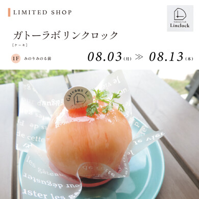ガトーラボ リンクロック