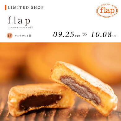 【9.25~10.8】flap