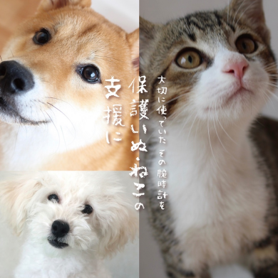 腕時計の下取り開催!