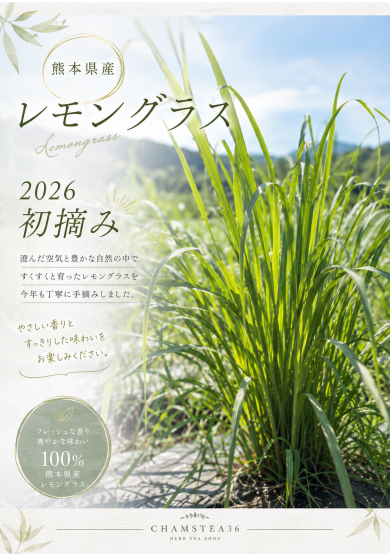 2026年初摘レモングラス発売!!